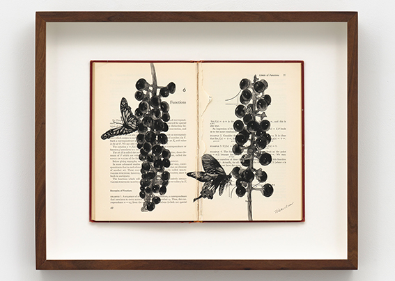 ����Ŵ [����Ŵ, ������ ���� ������ ���� �ϴ� �۰�]