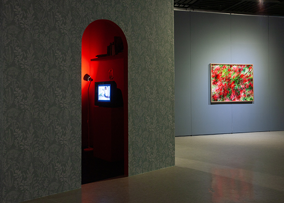 ���̰� [���� ���� ������ ������, ��������]