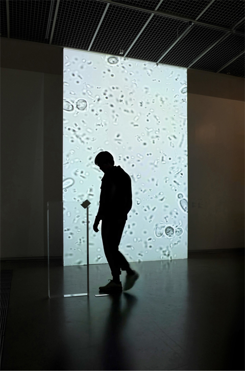 ������ ����