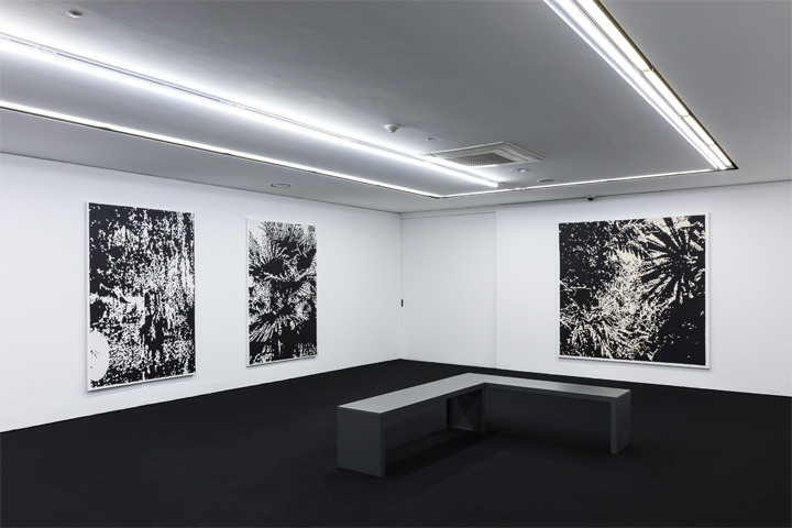 ����� ����