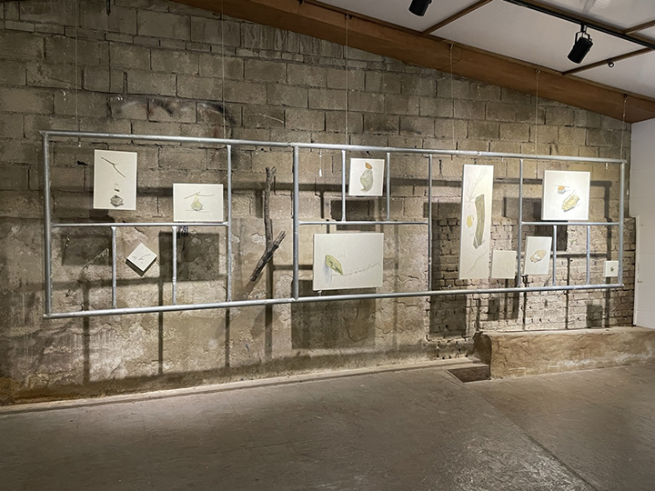 ���� ����