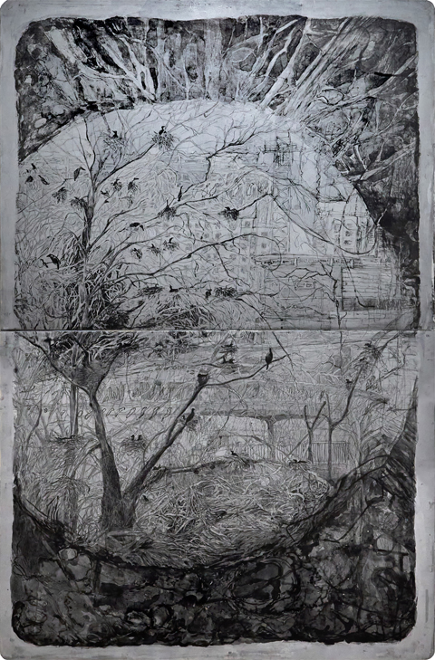 ���� ����