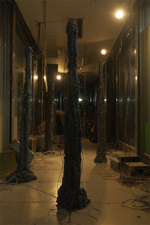 ������ ����