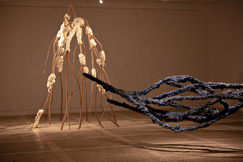 ������ ����