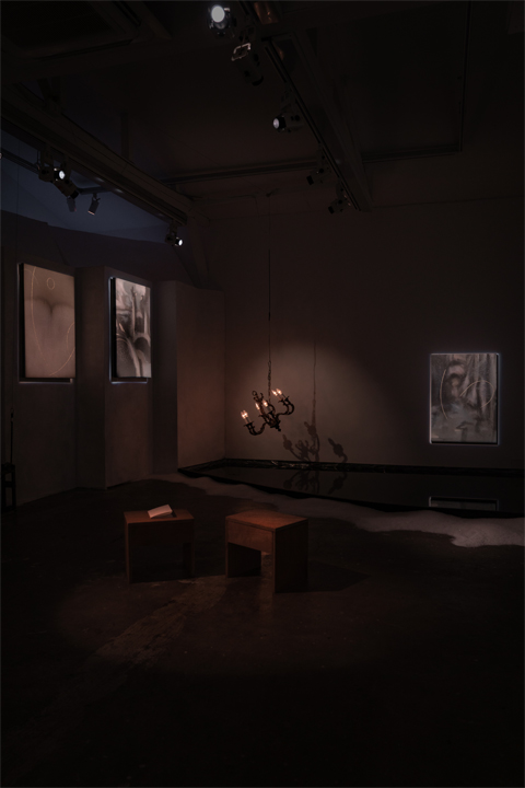 ������ ����